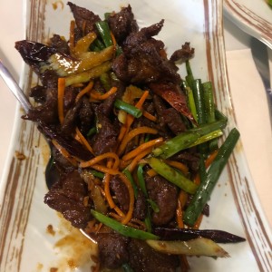 Carne Szechuan Estilo Tang