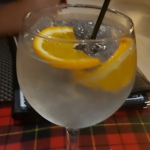 Gin de la casa