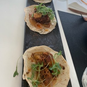 tacos don julio