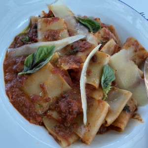 Paccheri Bolognesa