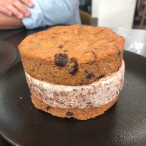 Ice Cream Cookie Sandwich 
