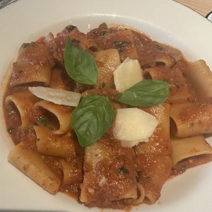 Pastas - Paccheri Alla Bolognesa