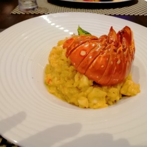 RISOTTO DE LANGOSTA