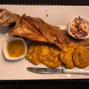 Pescado - Corvina