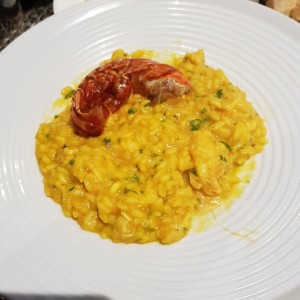 risotto de langosta