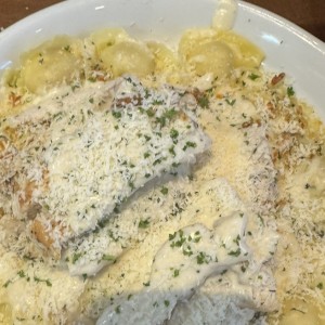 Asiago Tortelloni Alfredo With Grilled Chicken