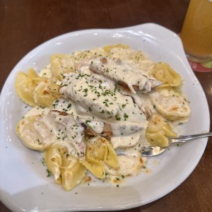 Asiago Tortelloni Alfredo With Grilled Chicken