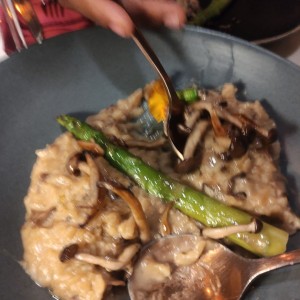 RISOTTO CAMPESTRE