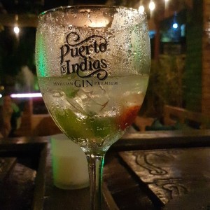 Gin Puerto de Indias 