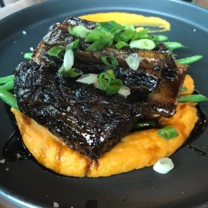 short rib 