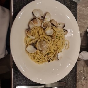 spaquerri Van 