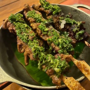 Carne en palito