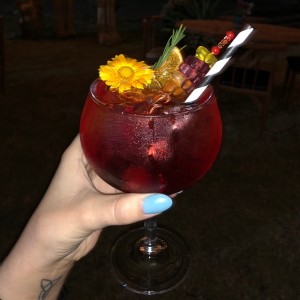 Gin de frutos rojos