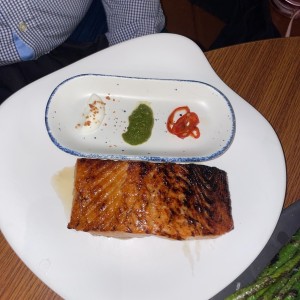 salmon