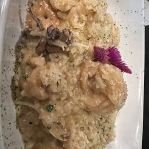 Hydra - Rissotto de Mariscos