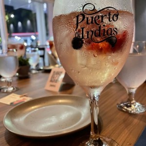 Gin Puerto de indias de frutos rojos 