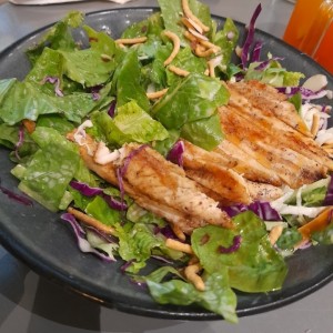 Oriental Chicken Salad Regular