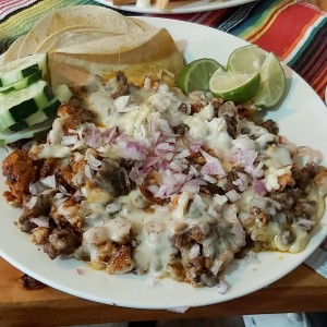 Tacos de birria