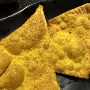 Wanton Frito en Laminas