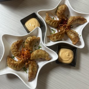 Gyozas Cerdo 5 unid