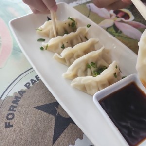 Gyozas Mixtas 