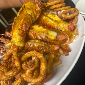 Fresh Lobster 