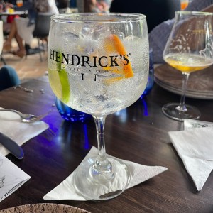 Hendricks Gin Tonic
