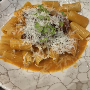 Primi Piatti - Rigatoni amatriciana