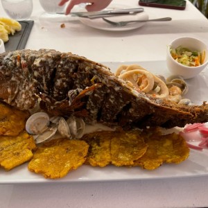 Pargo