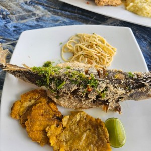 Pescado Entero - Corvina Frita