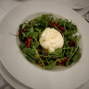 Burrata