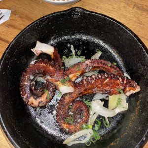 Pulpo