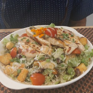 Ensaladas - Chicken Caesar Salad