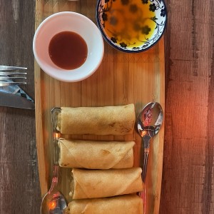 Entradas - Spring Rolls