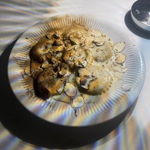 Raviolli Tondi de Hongos y Escargots