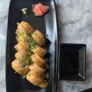 Luna salmon