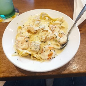 Amazing Alfredos - Shrimp Alfredo