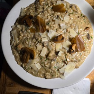 Risotto - Funghi