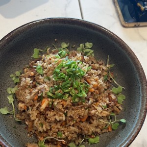 Arroz Salteado de Pato