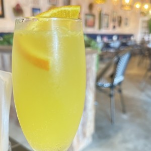 Mimosa