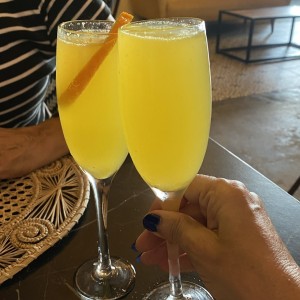 Mimosa 