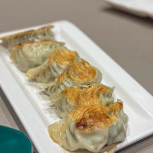 Dim Sum - WO TIP DUMPLINGS