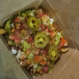 fries w/toppings mexicana