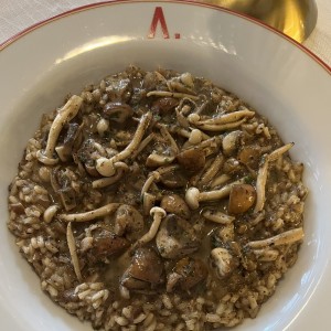 Rissotto al Funghi e Tartufo