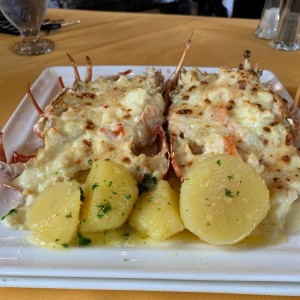 langosta gratinada 