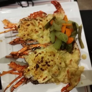 Platos Recomendados - Langostas Gratinadas