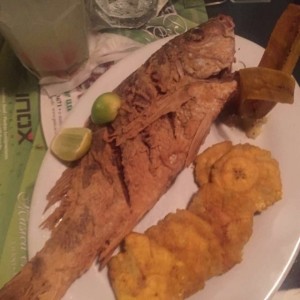 pargo frito