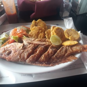 Pargo Rojo frito-Delicioso!