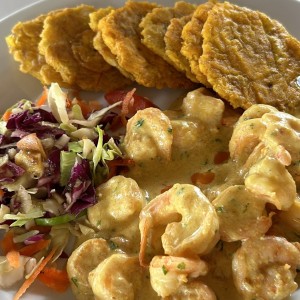 Mariscos - Camarones / shrimps