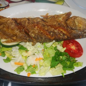 Corvina Frita